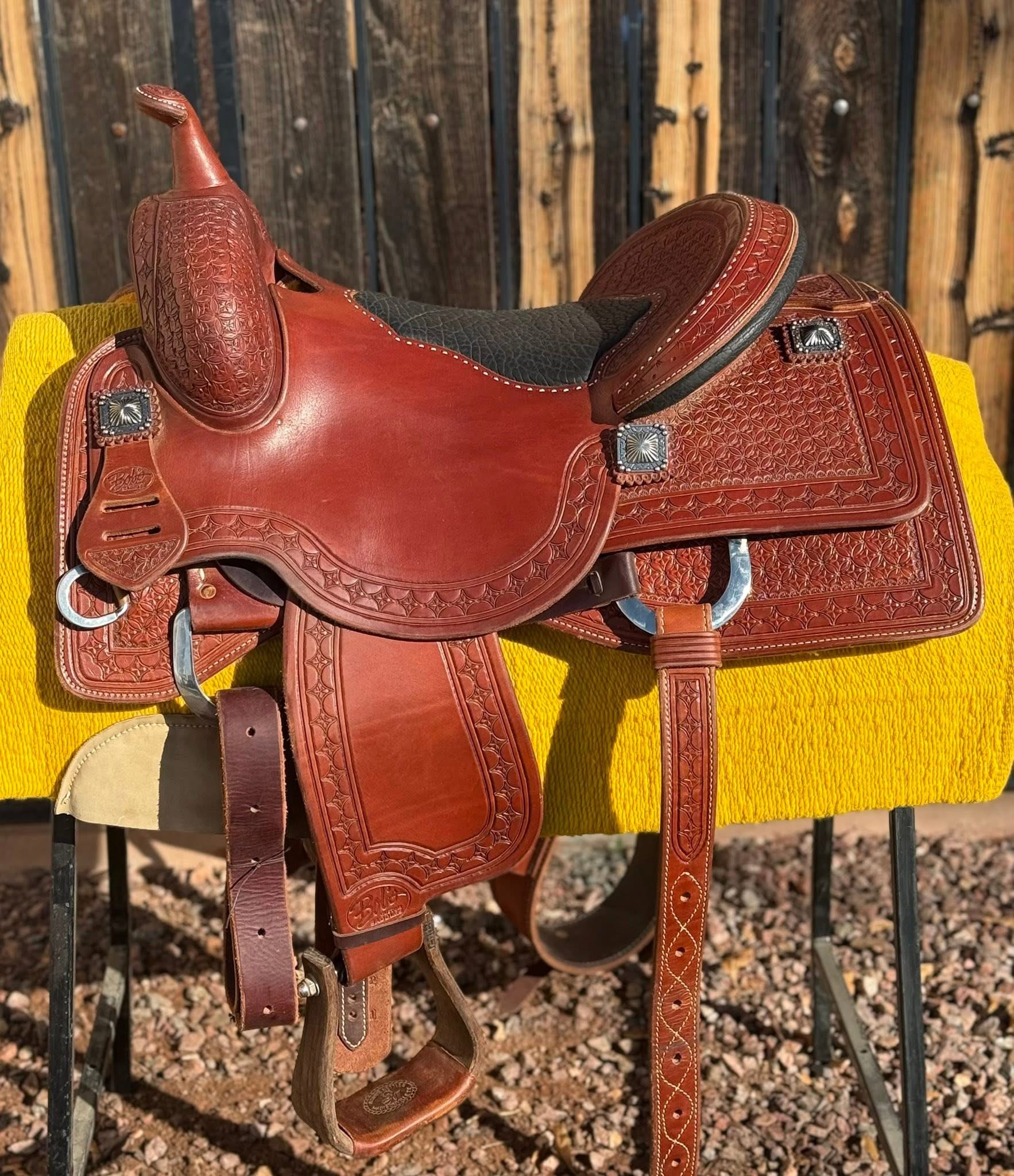 Lady Cowhorse — full right side view