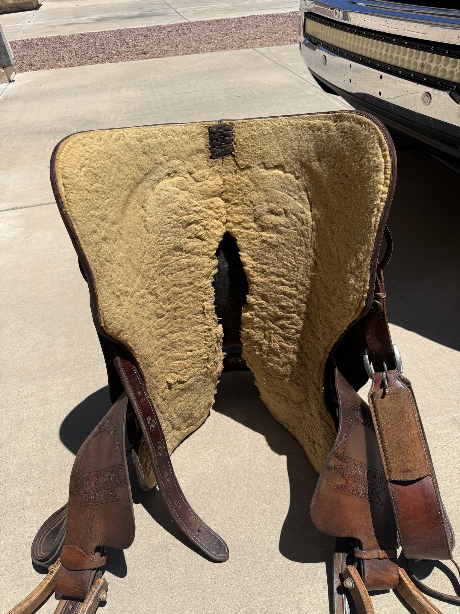 Teddy Johnson Cutter — woolskin underside showing NCHA AMT stamp